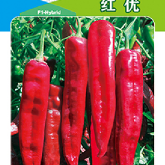 辣椒种子-红优