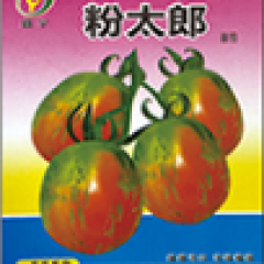 粉太郎-番茄