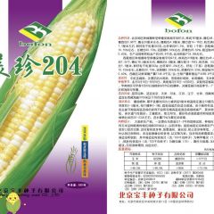 美珍204